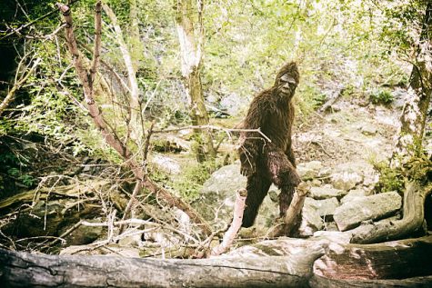 A sasquatch/bigfoot walking through the wilderness. Processed with a vintage tone.